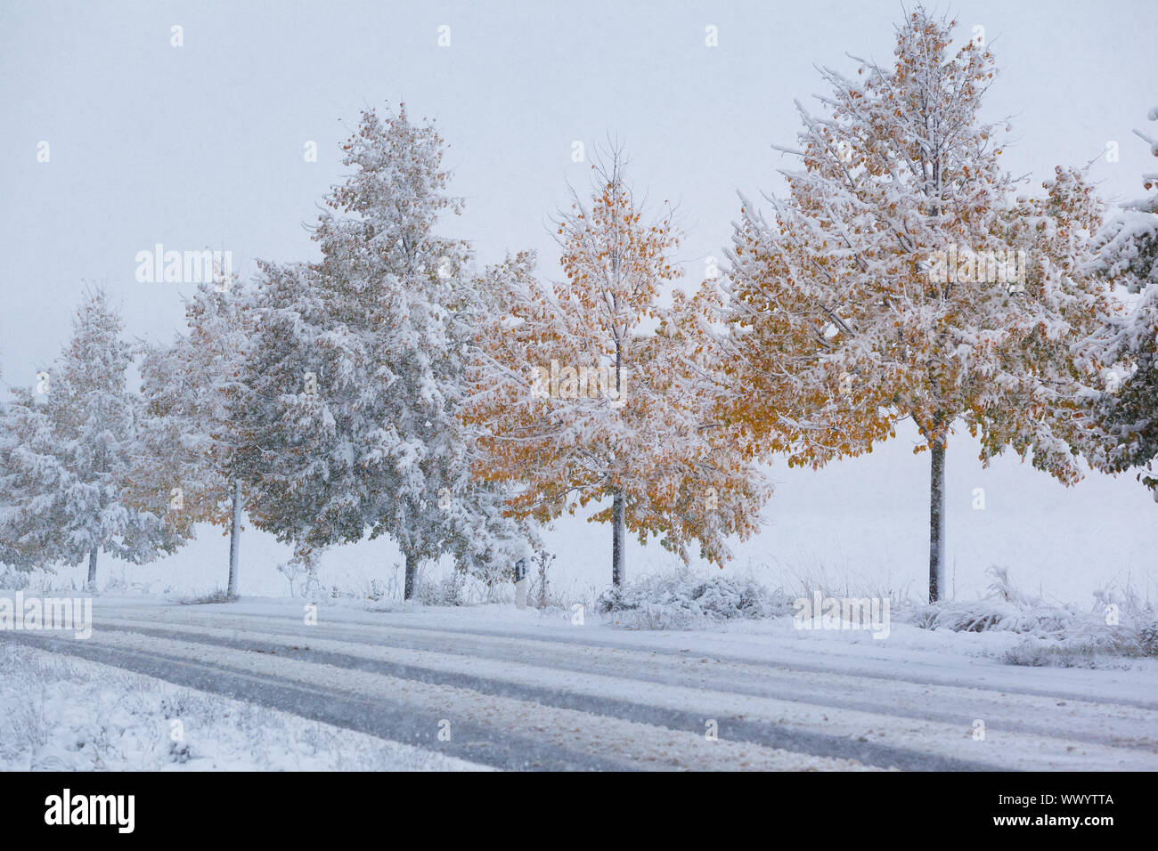 Snow-smooth roads in autumn Stock Photo