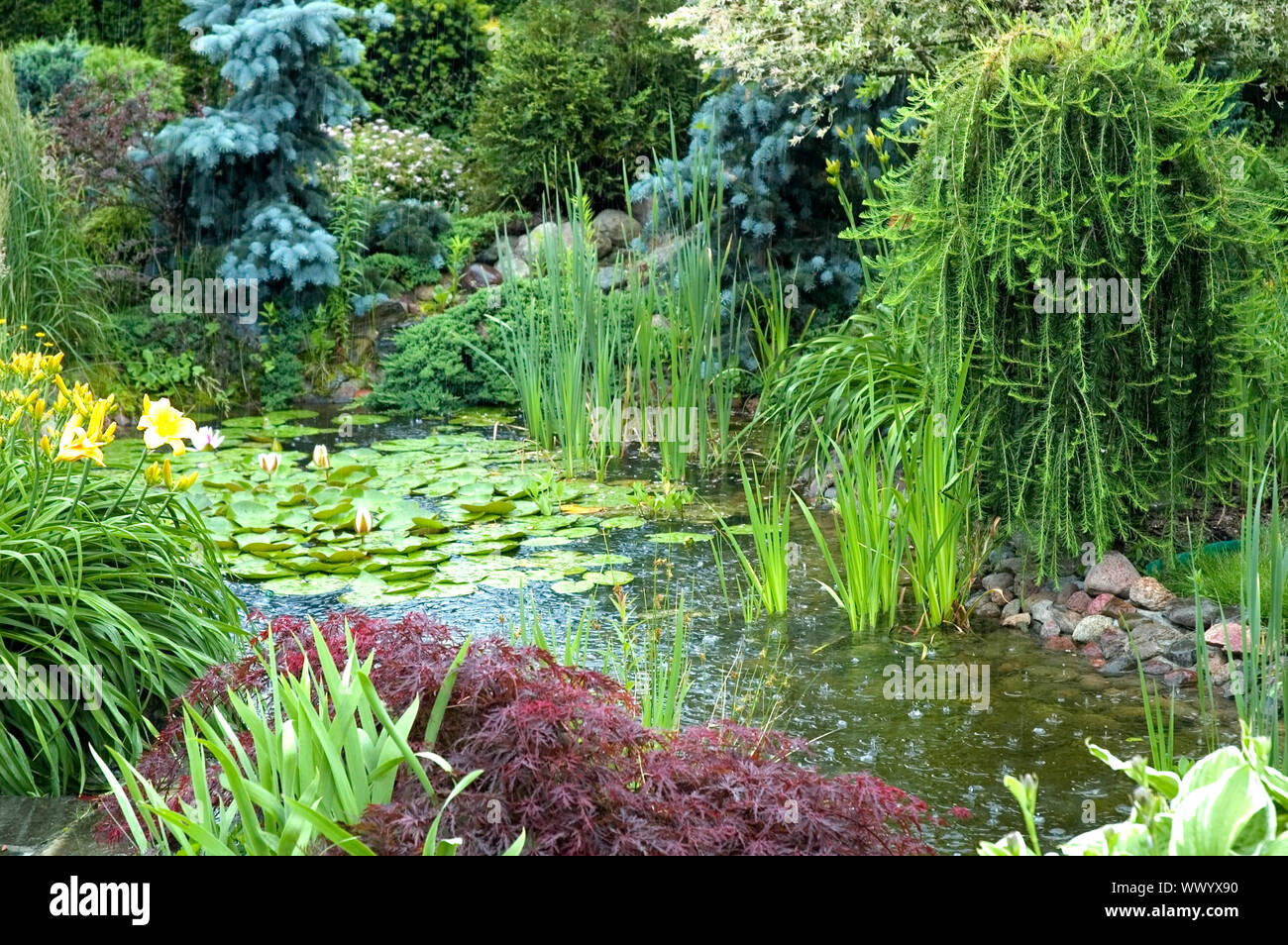 Rainy Day In Summer Stock Photo Alamy