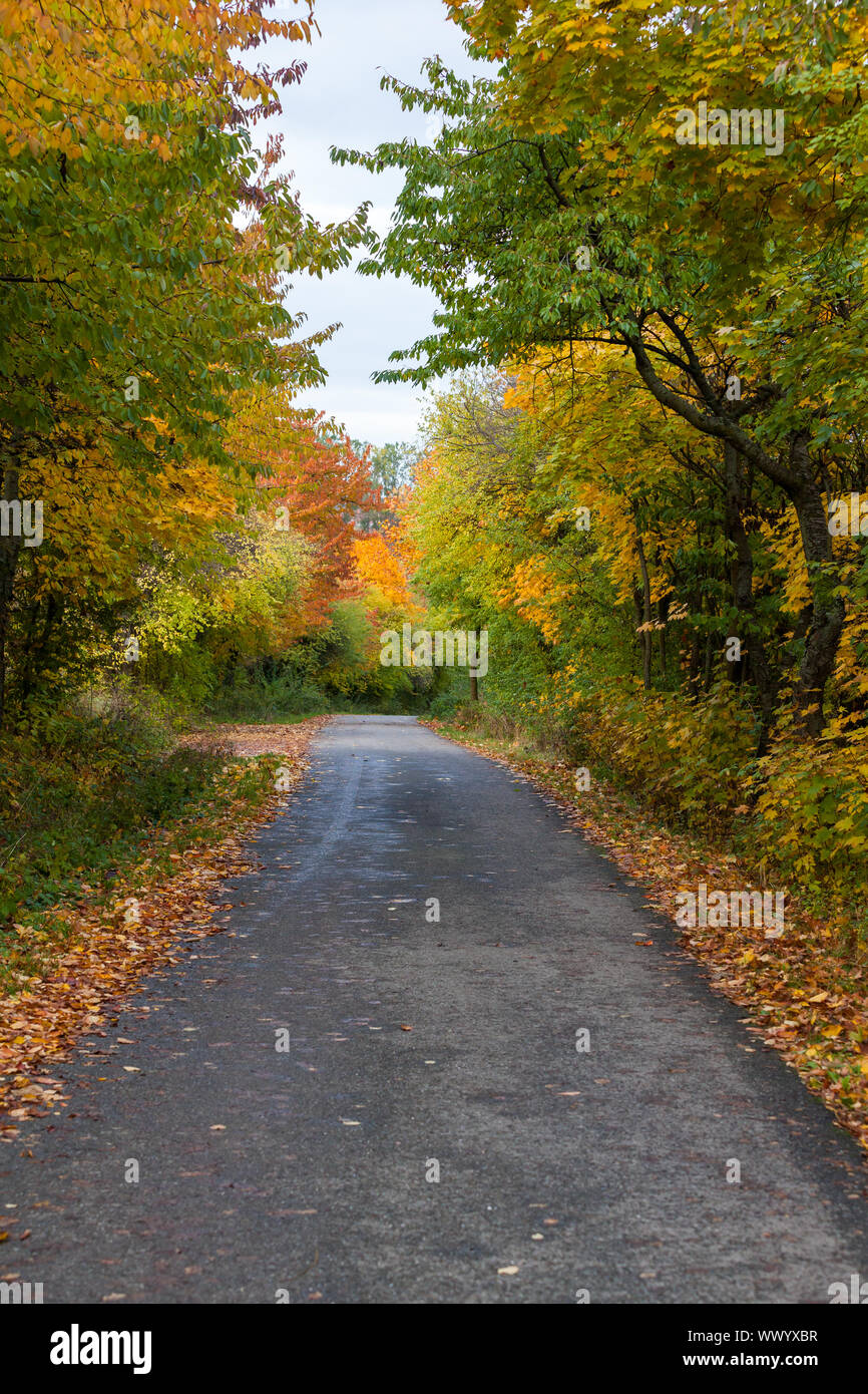 Street with autumn flair Stock Photo