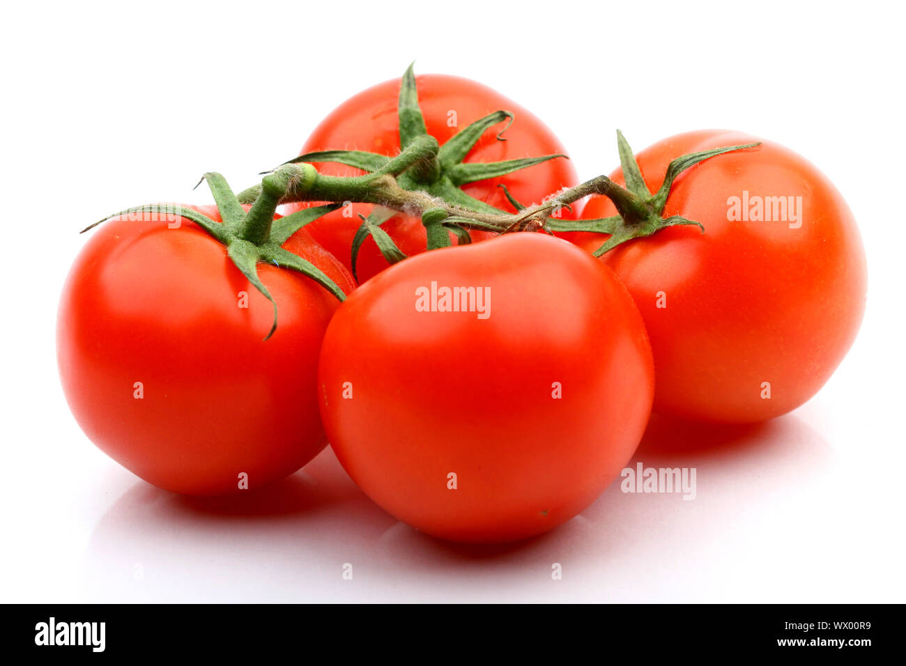 tomatos isolated on white background close up Stock Photo - Alamy
