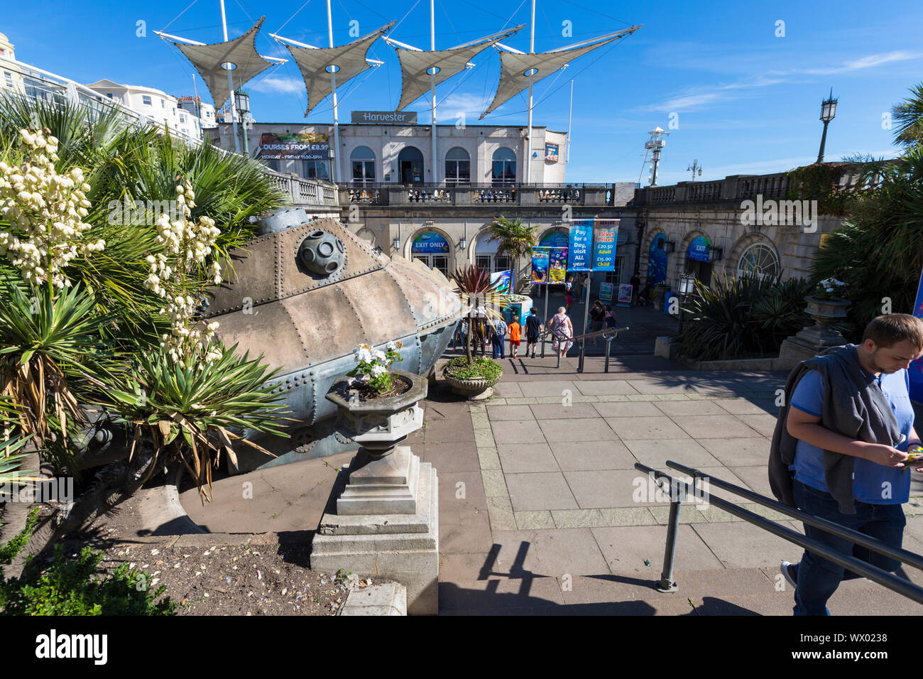 Sea Life Brighton Centre Aquarium East Sussex Uk Stock Photo Alamy sea-life-brighton-centre-aquarium-east-sussex-uk-stock-photo-alamy