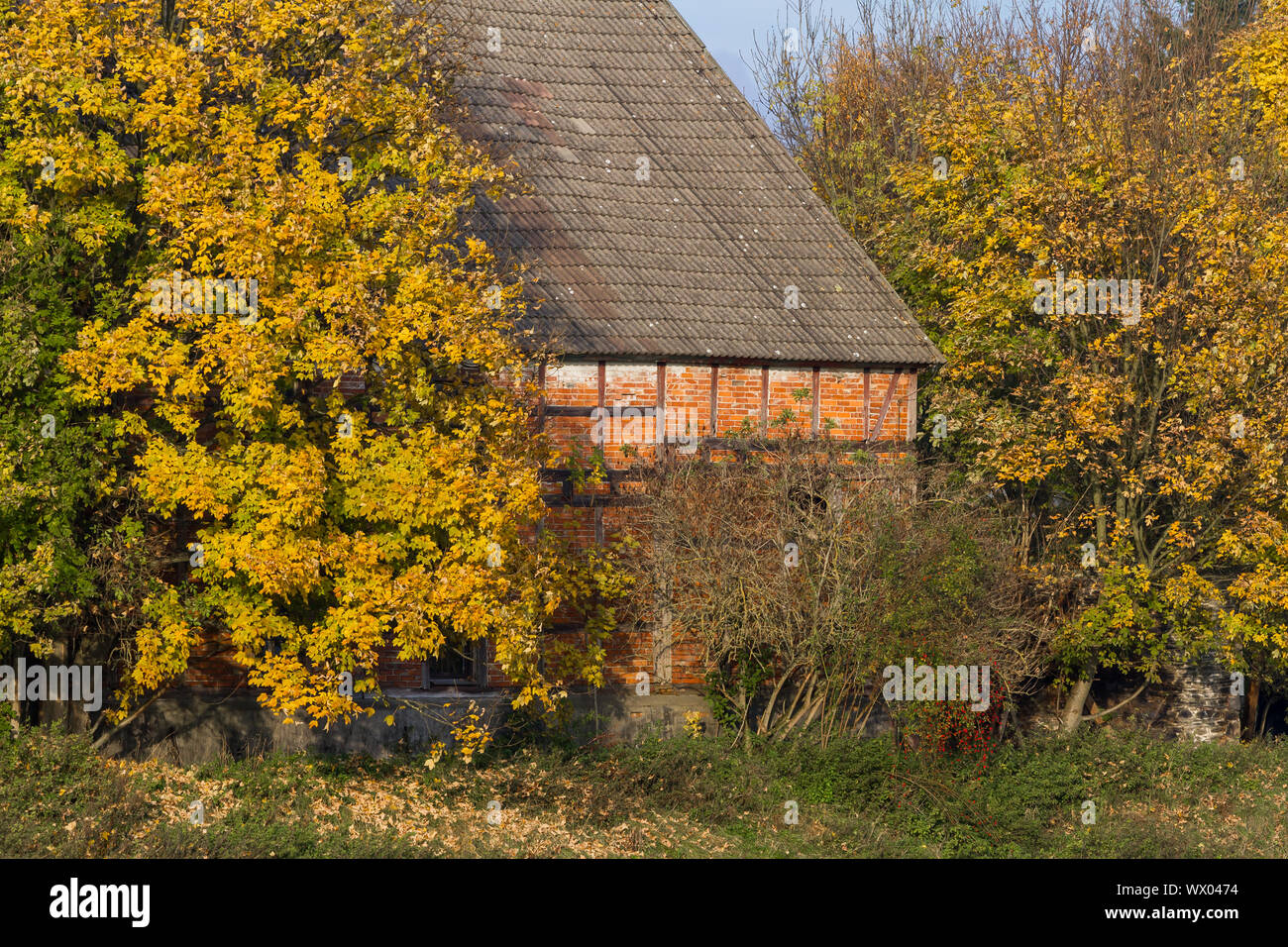 old barn in autumn Stock Photo