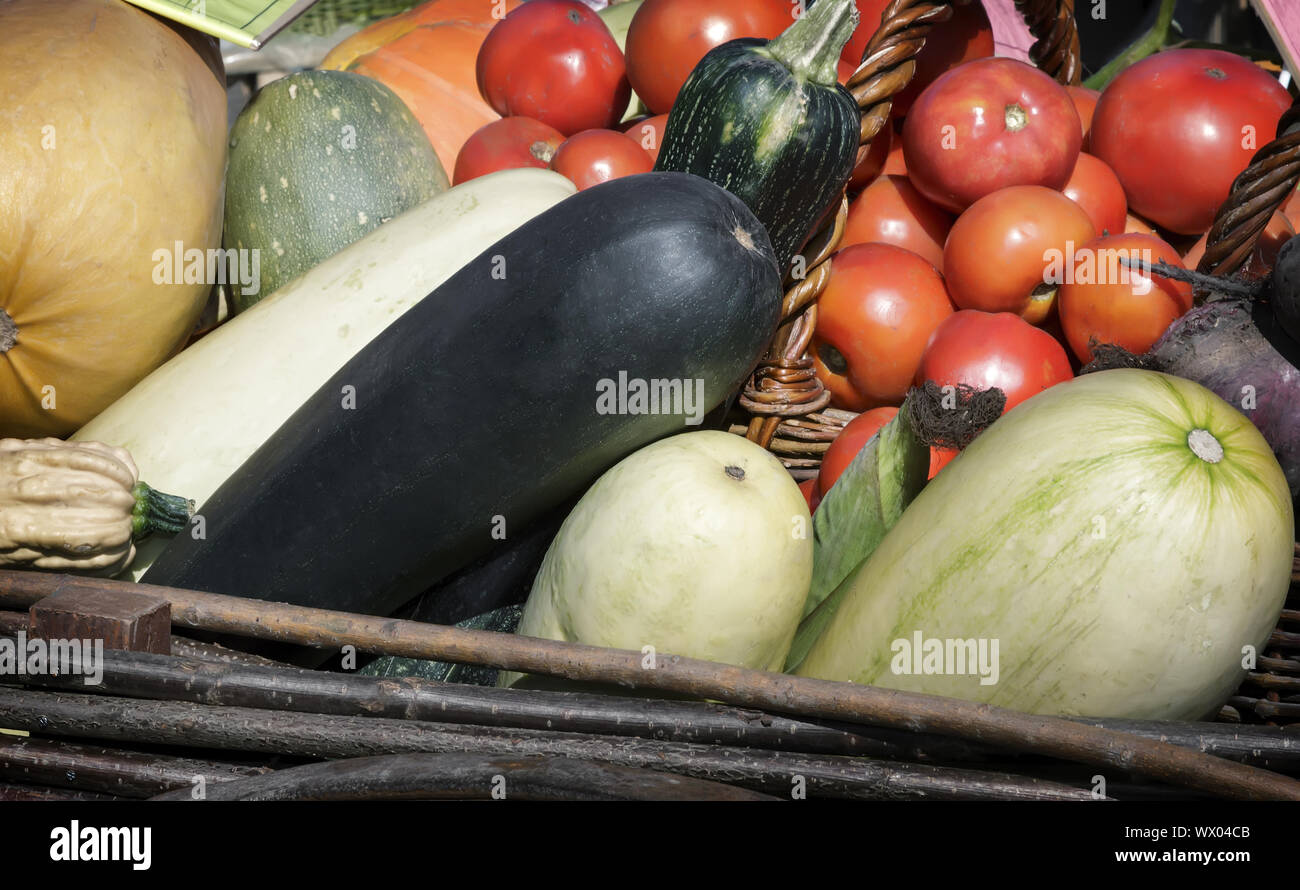 Vegetable harvest is sold at the fair. Stock Photo