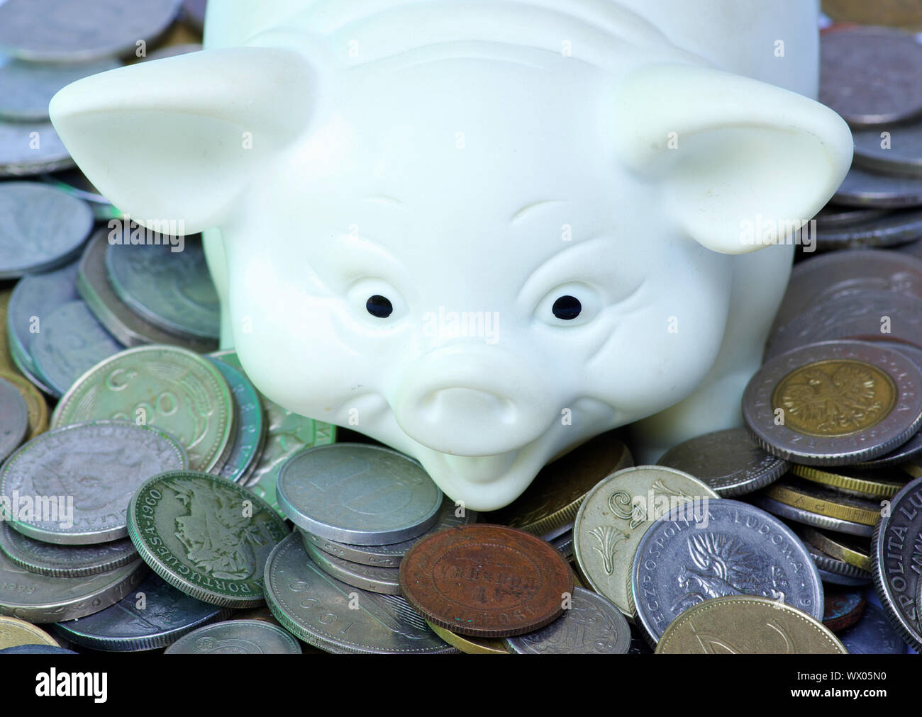 white piggy bank isolated on white background with coins Stock Photo ...
