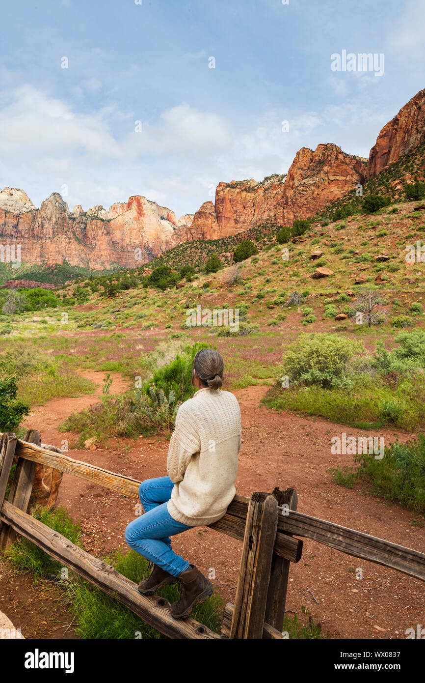 Temples and Towers of the Virgin, Zion National Park, Utah, United States of America, North America Stock Photo