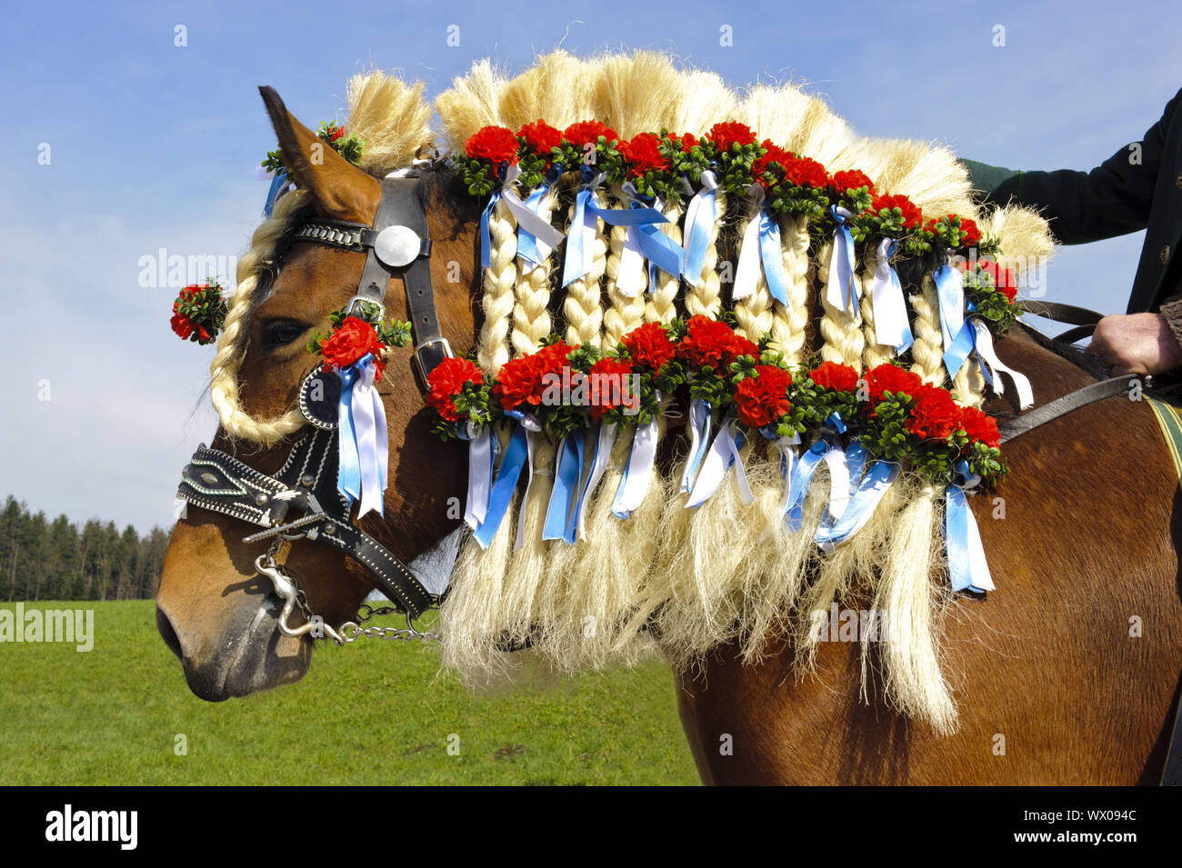 beautifully decorated horse on a catholic pilgrimage in Bavaria Stock Photo