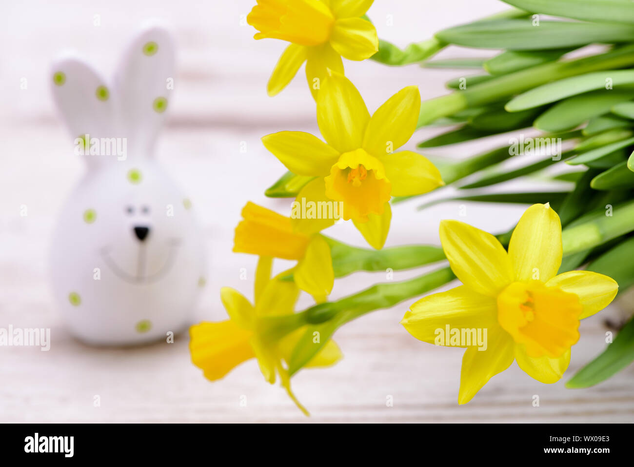bunch of colorful tulips Stock Photo