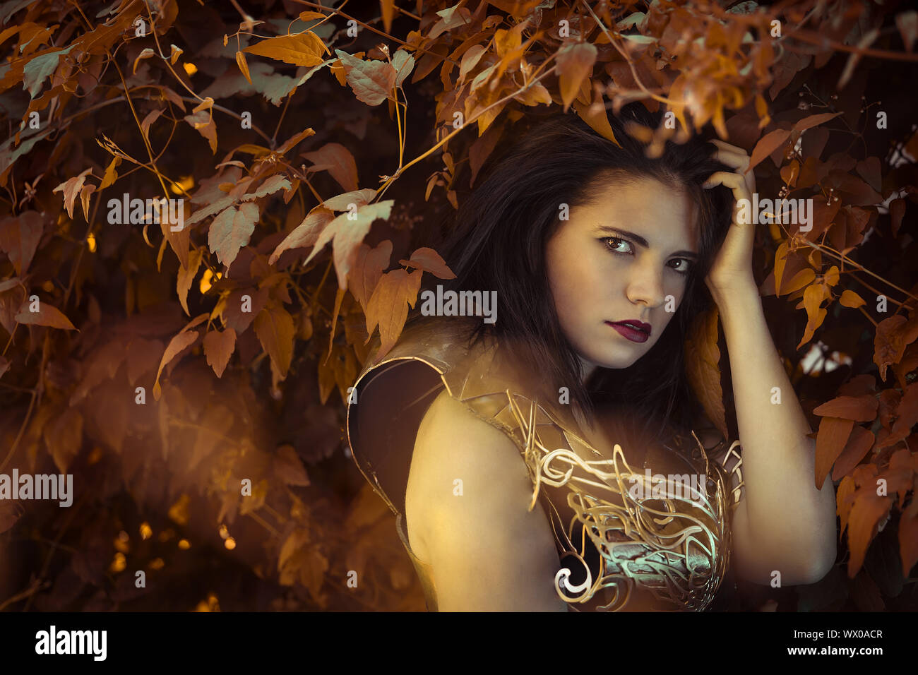 Forest fairy, Beautiful brunette woman wearing gold and copper corset in goddess and warrior poses. fantasy and imagination conc Stock Photo