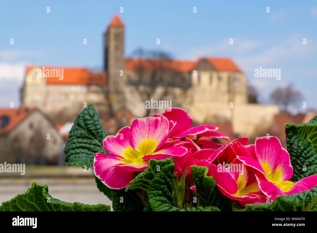 View of the Quedlinburg Castle in spring Stock Photo