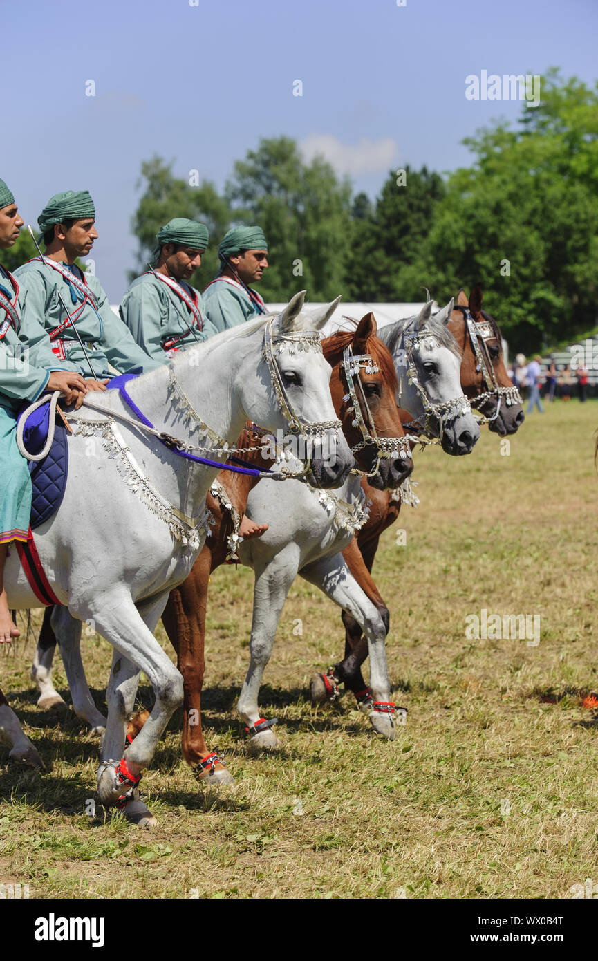 Members of the Arab show group Royal Cavalry of Oman ride in magnificent robes on horse Stock Photo