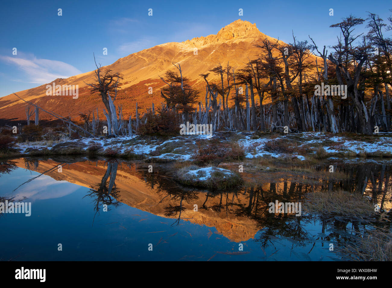 An autumn scene in Los Glaciares National Park, UNESCO World Heritage ...