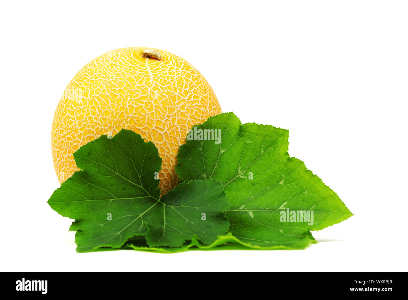 galia melone isolated on white Stock Photo