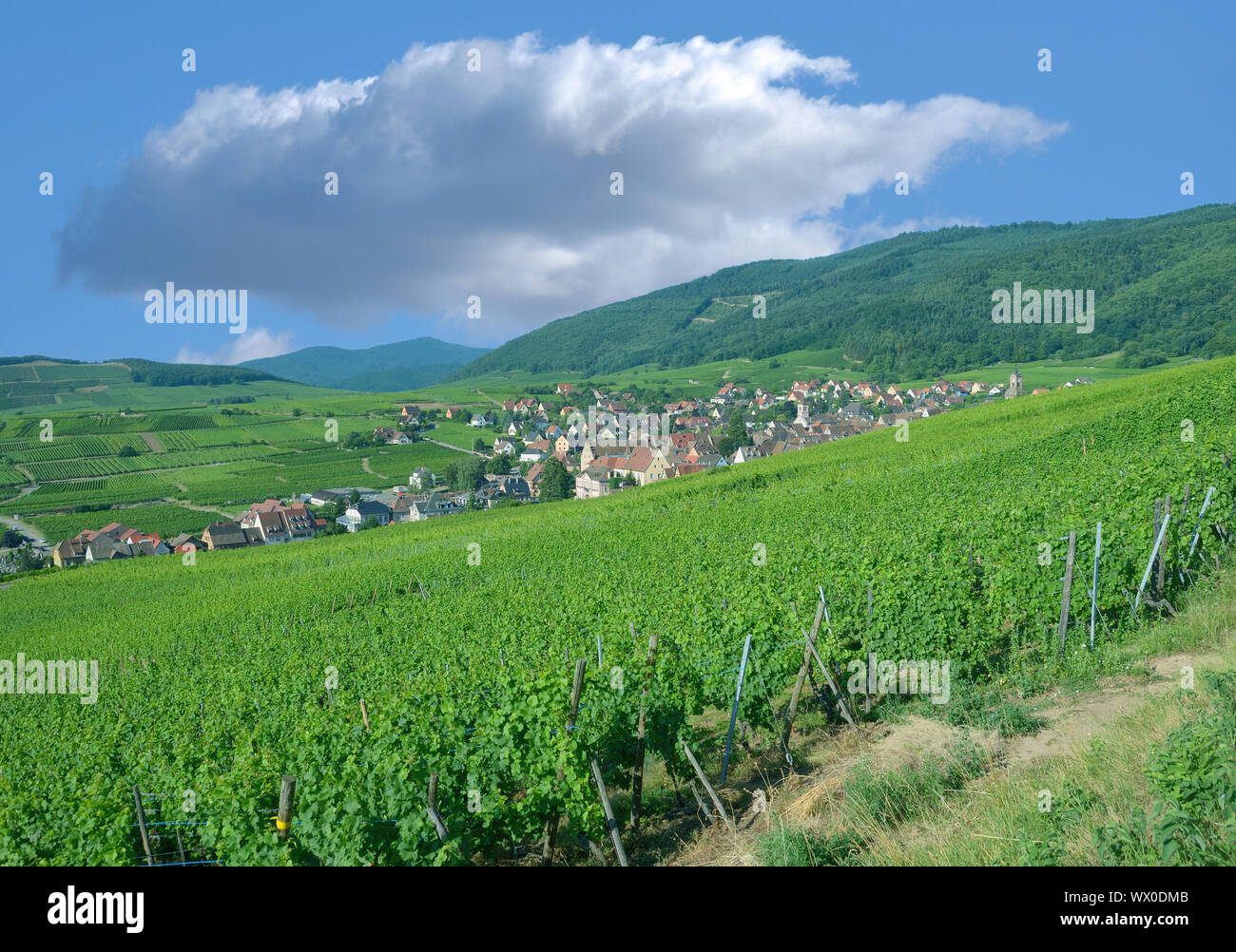 Village of Riquewihr in Grand Est region(former Alsace) ,France Stock Photo