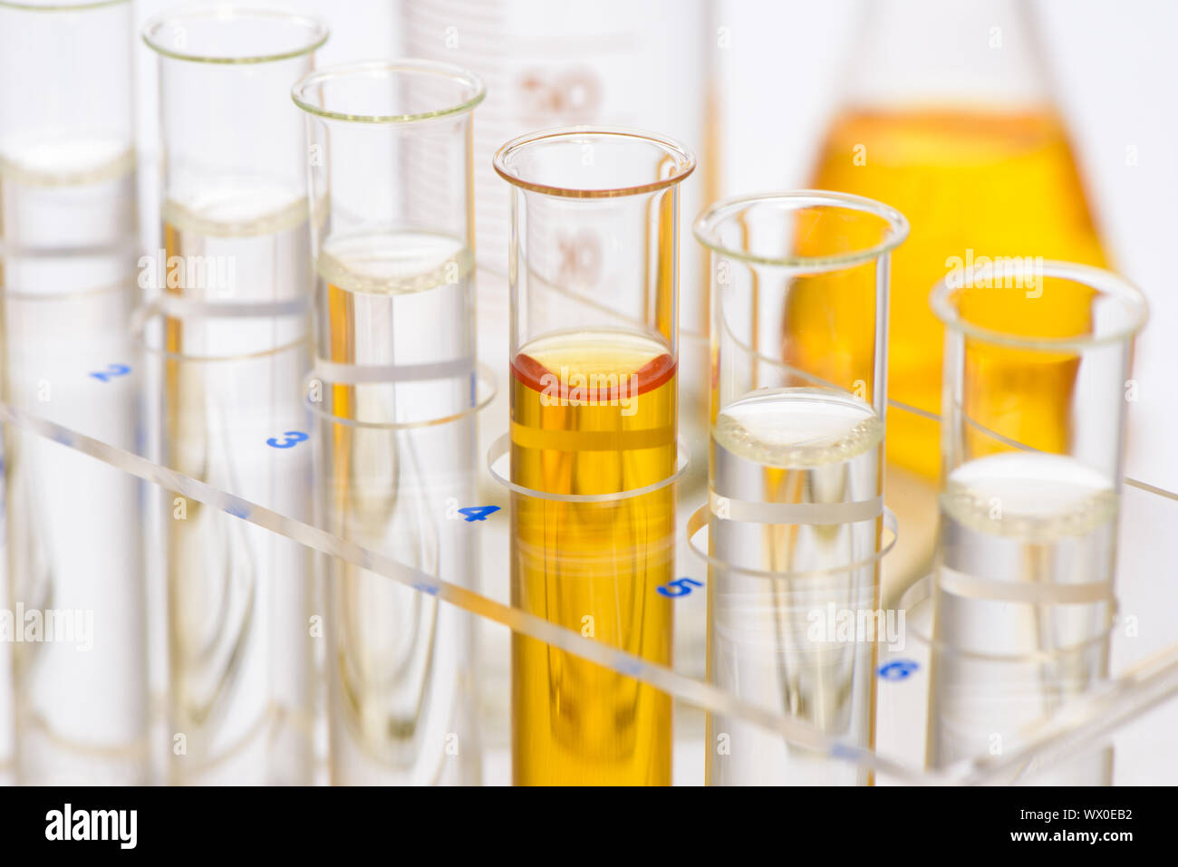 Laboratory experiment with chemistry and biology Stock Photo Alamy