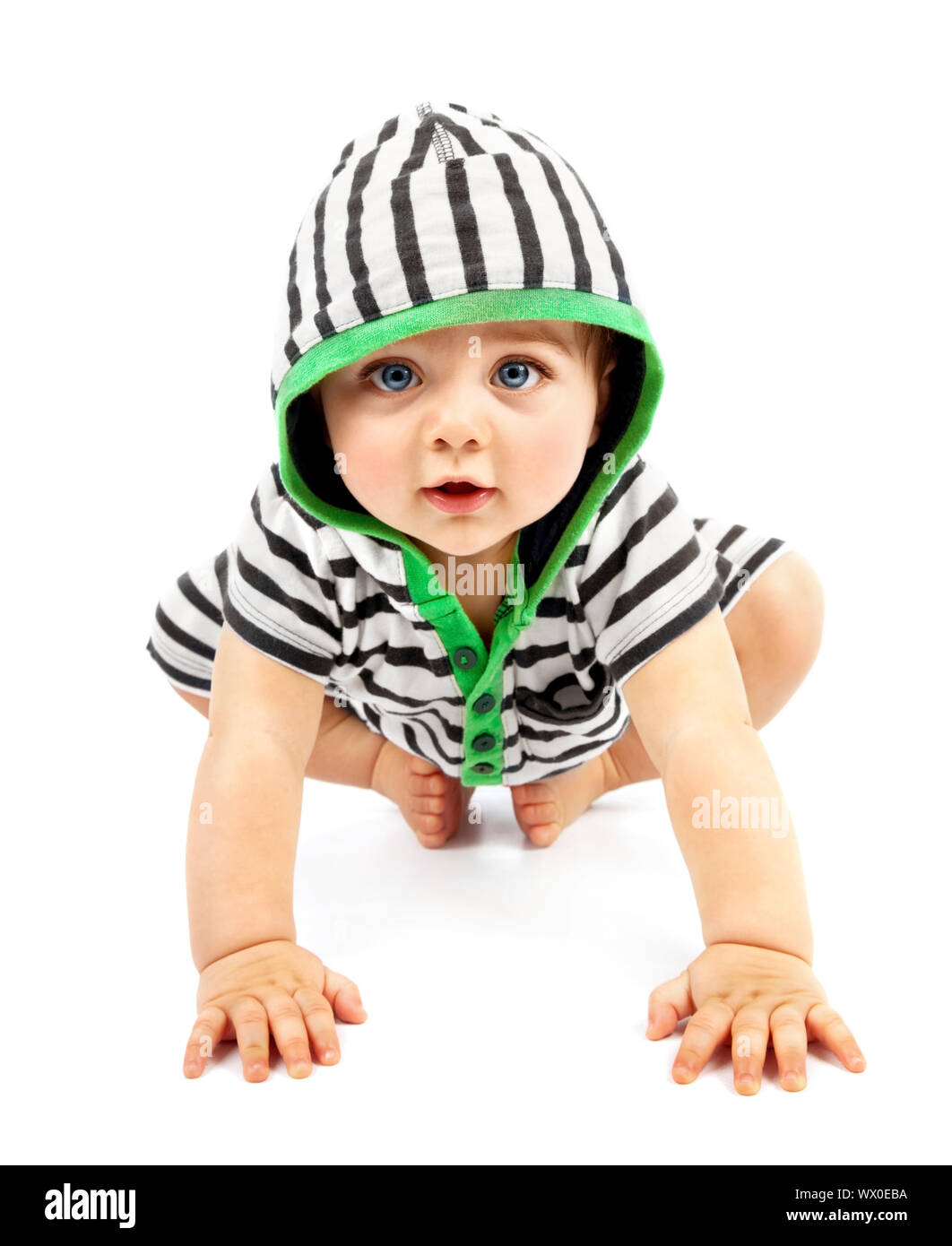 Lovely boy isolated on white background, sweet little baby wearing striped sliders, charming small kid in black & white hoodie with biggin crawling in Stock Photo