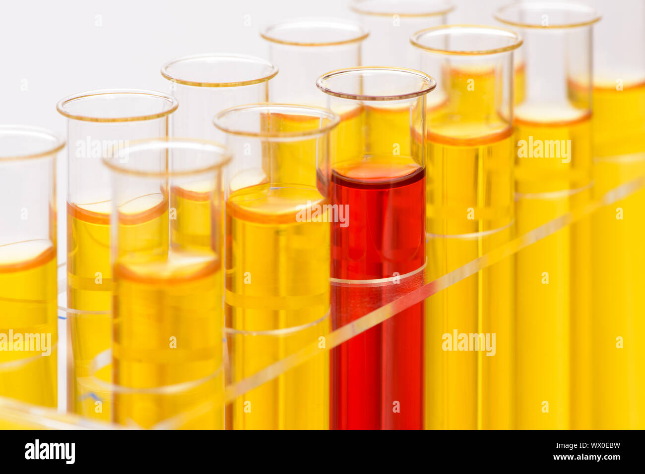 Laboratory experiment with chemistry and biology Stock Photo