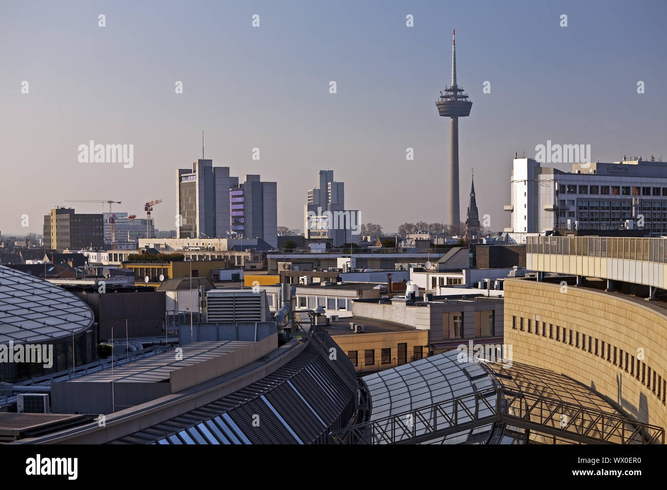 view over the roof-tops to tower Colonius, Cologne, North Rhine-Westphalia, Germany, Europe Stock Photo