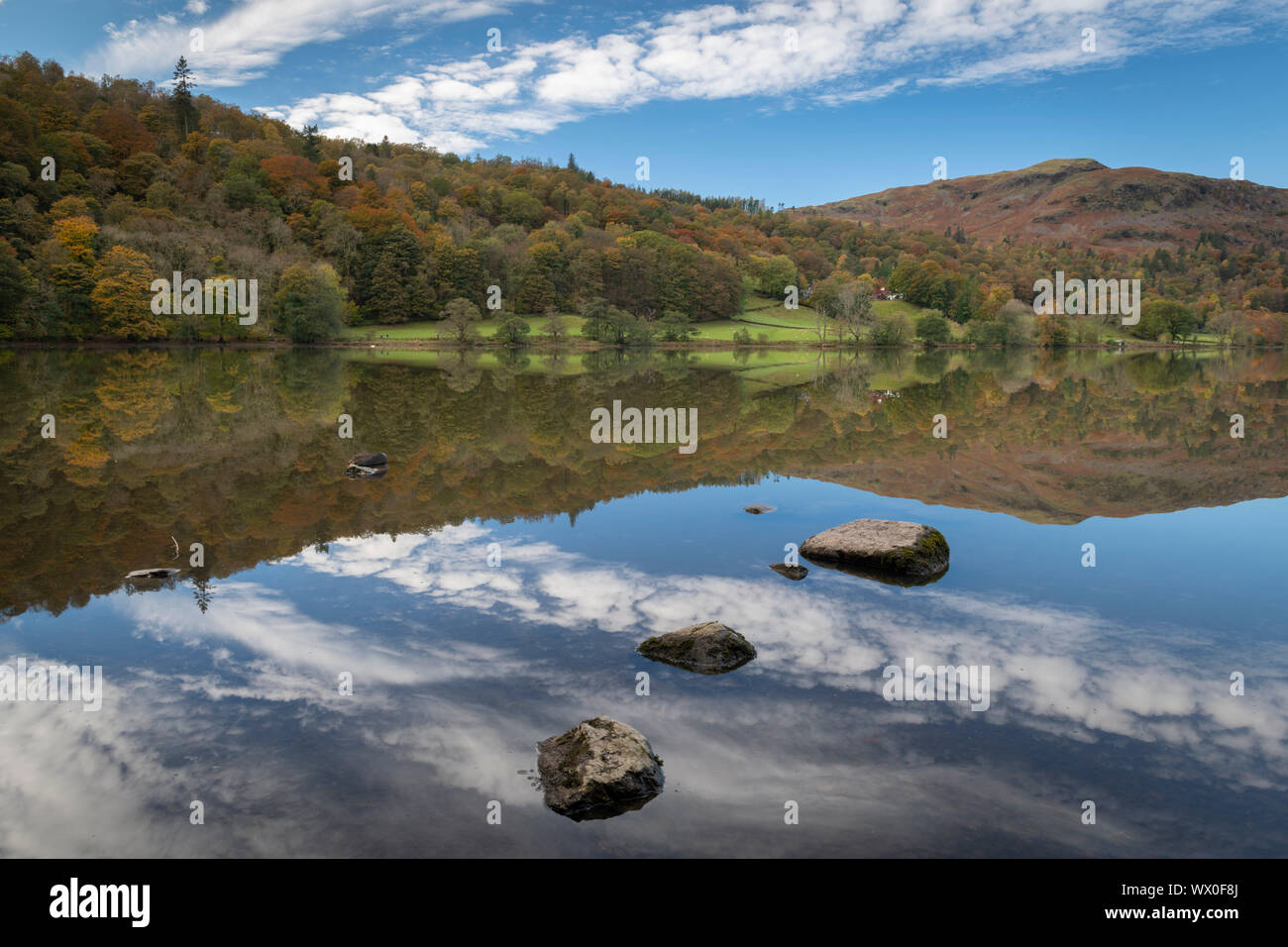 Reflections on Grasmere, Lake District National Park, UNESCO World Heritage Site, Cumbria, England, United Kingdom, Europe Stock Photo
