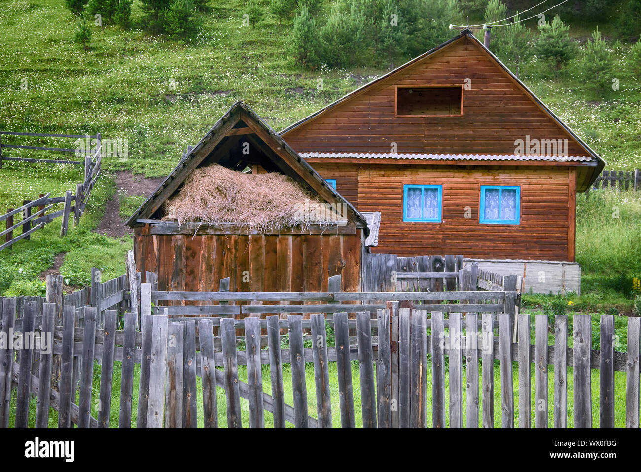 House in Russian village, Altai Stock Photo