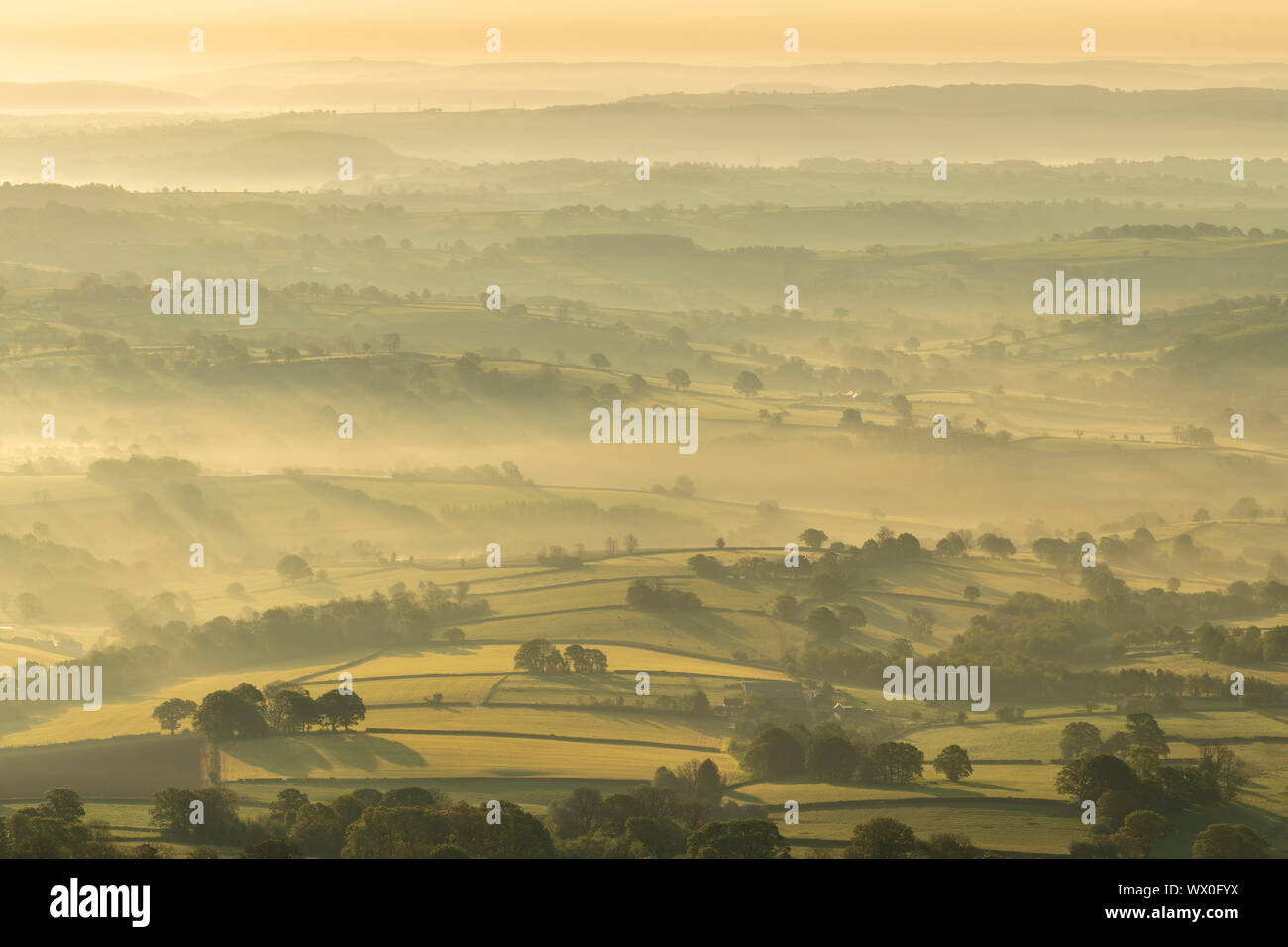 Mist covered rolling countryside at dawn, Abergavenny, Wales, United Kingdom, Europe Stock Photo