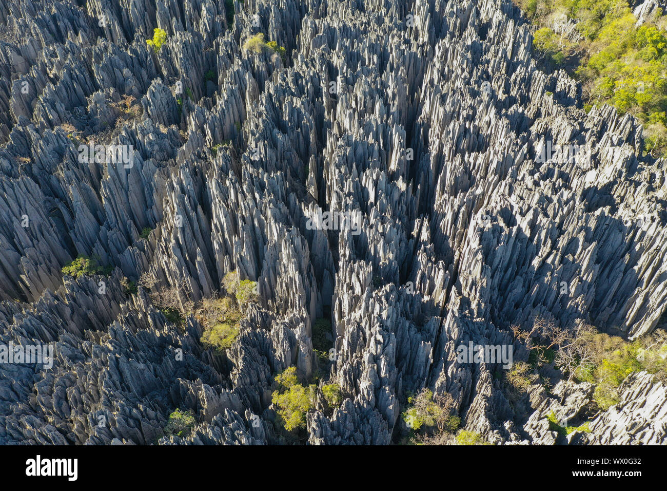The karst limestone formation at Parc National des Tsingy de Bemaraha, UNESCO World Heritage Site, Tsiribihina region, Madagascar, Africa Stock Photo