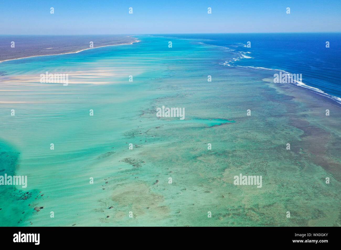 Coral reef near Ambatomilo, South Western coast of Madagascar, Indian Ocean, Africa Stock Photo