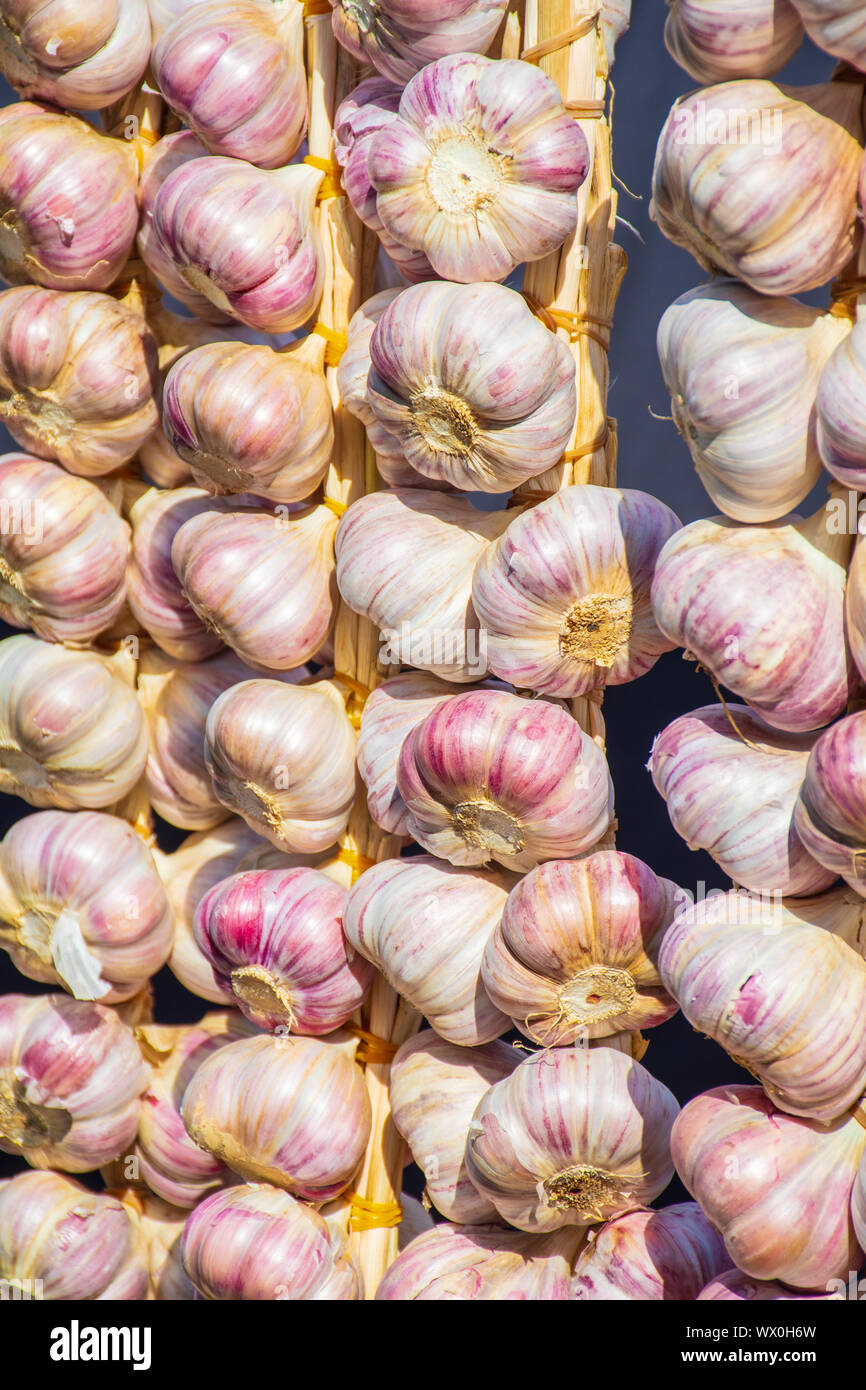 Red garlic hanging on farmer's market stall. White and purple red color heads, bits of roots, stems, vertical Stock Photo