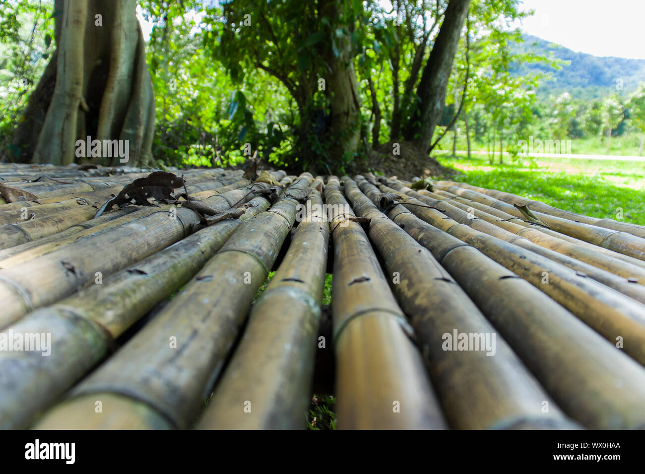 Bamboo Fence Outside Surface, rough fence bamboo pattern background High resolution image gallery. Stock Photo