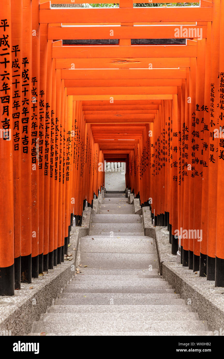 Torii gates at Hie Shrine in Chiyoda, Tokyo, Japan, Asia Stock Photo
