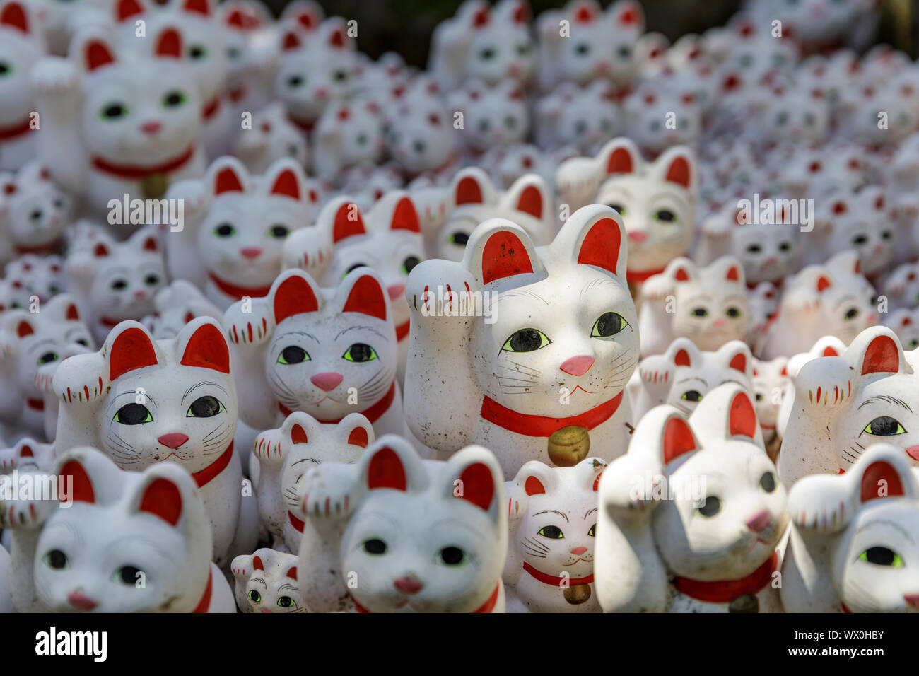 Cat statues in Gotokuji Temple in Setagaya city, Tokyo, Japan, Asia Stock Photo