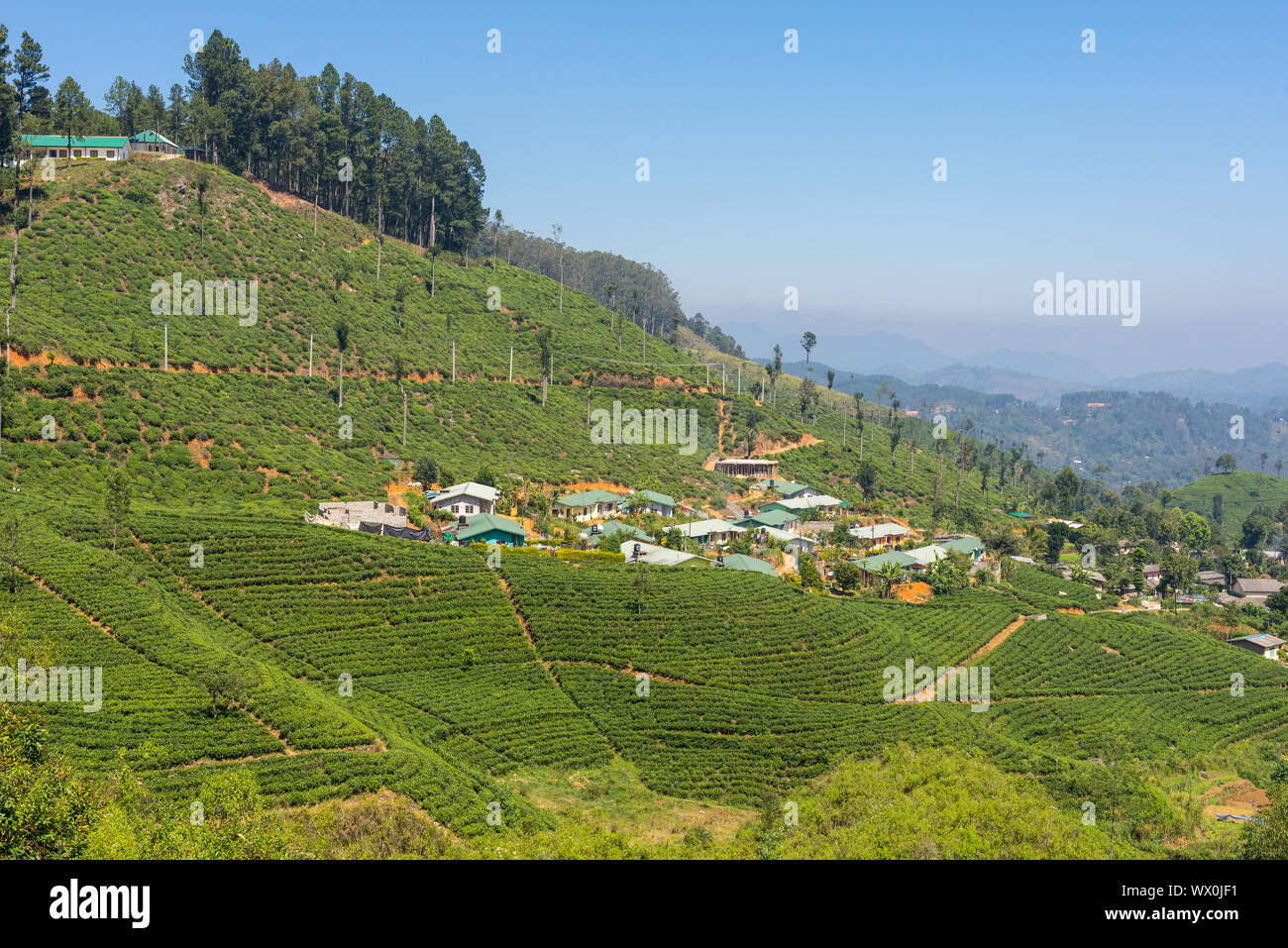 Company town in middle of the tea plantations in the highlands of Sri Lanka Stock Photo