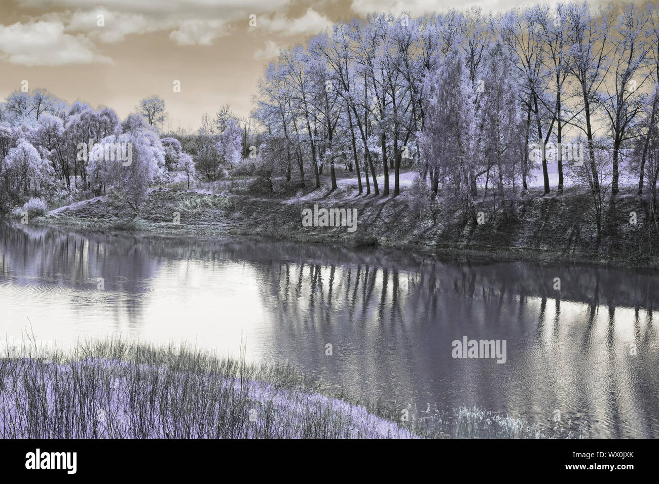 Large beautiful lake, with banks overgrown with forest. Stock Photo