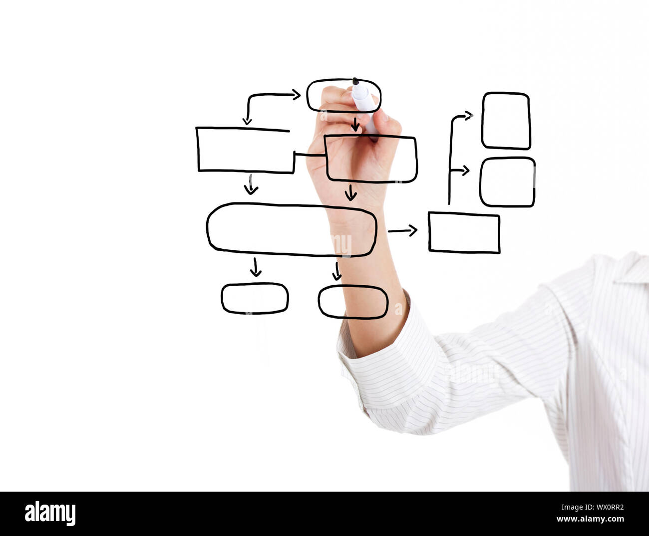 Female hand of a young businesswoman drawing a flowchart Stock Photo ...