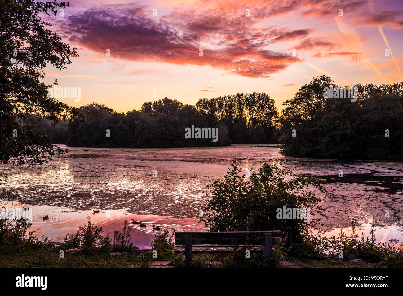 Sunrise over a small lake known as Liden Lagoon in Swindon, Wiltshire. Stock Photo
