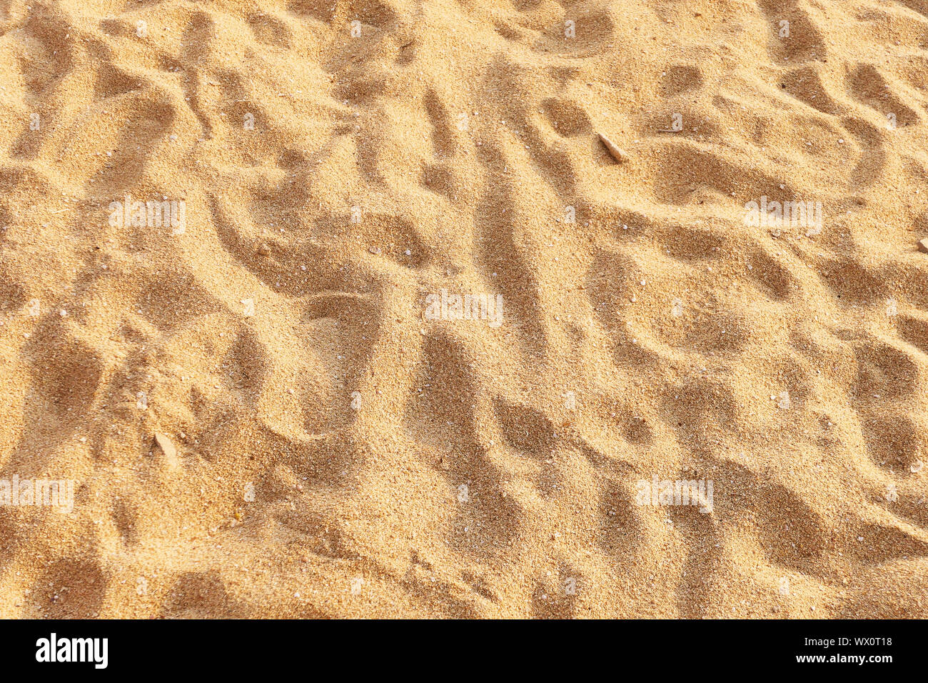 Beach sand background Stock Photo