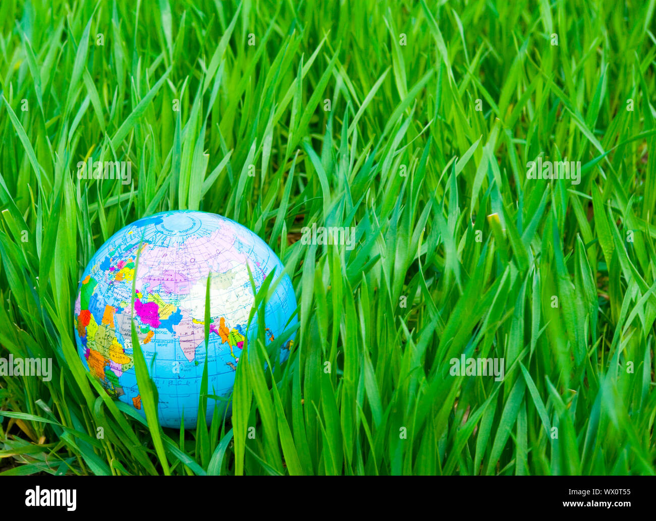 globe is placed on green grass Stock Photo - Alamy