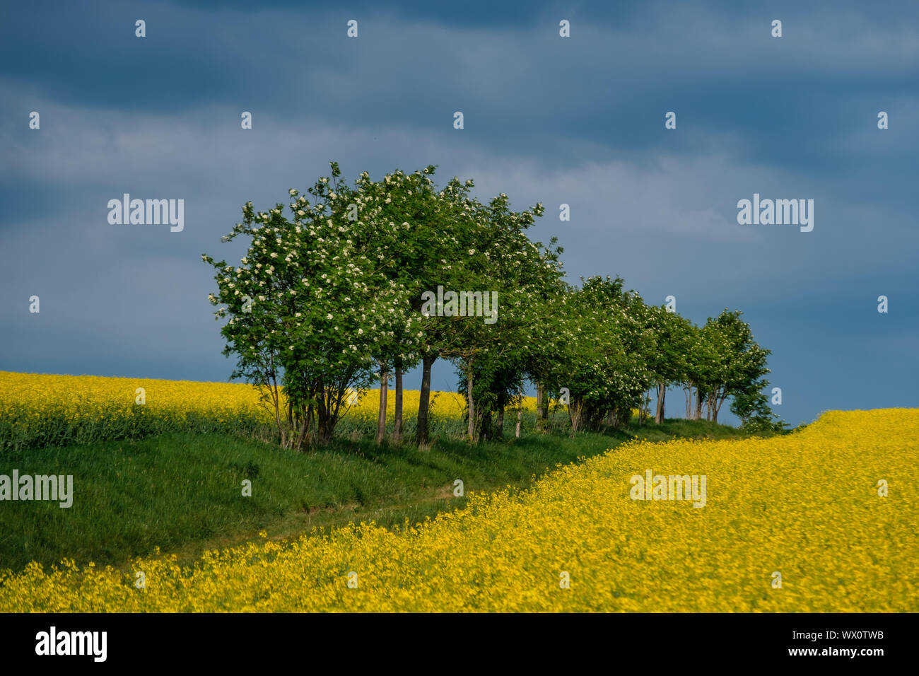 Cultural Landscape Rapsfeld Lighting Atmosphere Stock Photo