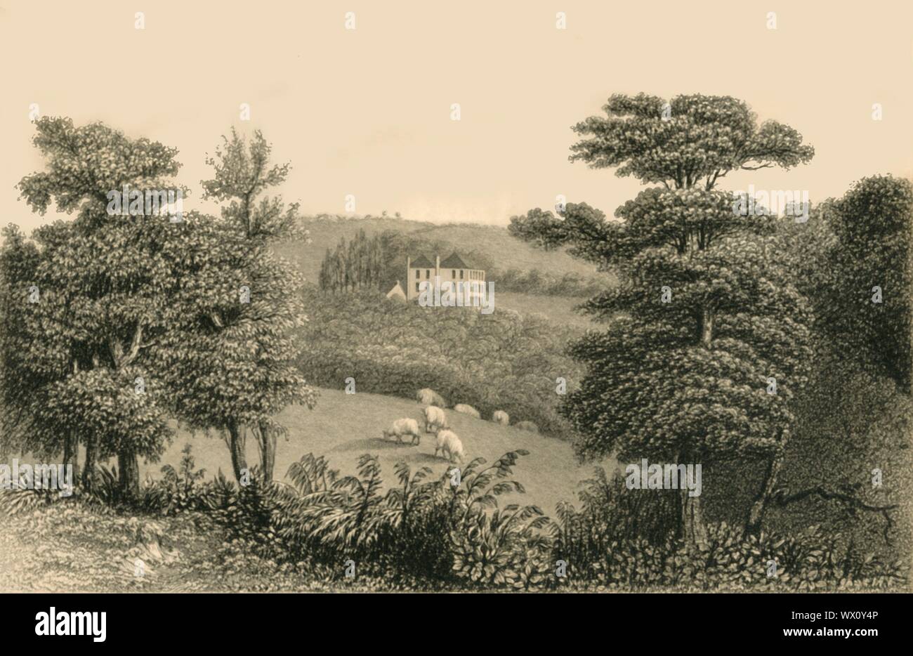 Warbleton east sussex england uk hires stock photography and images