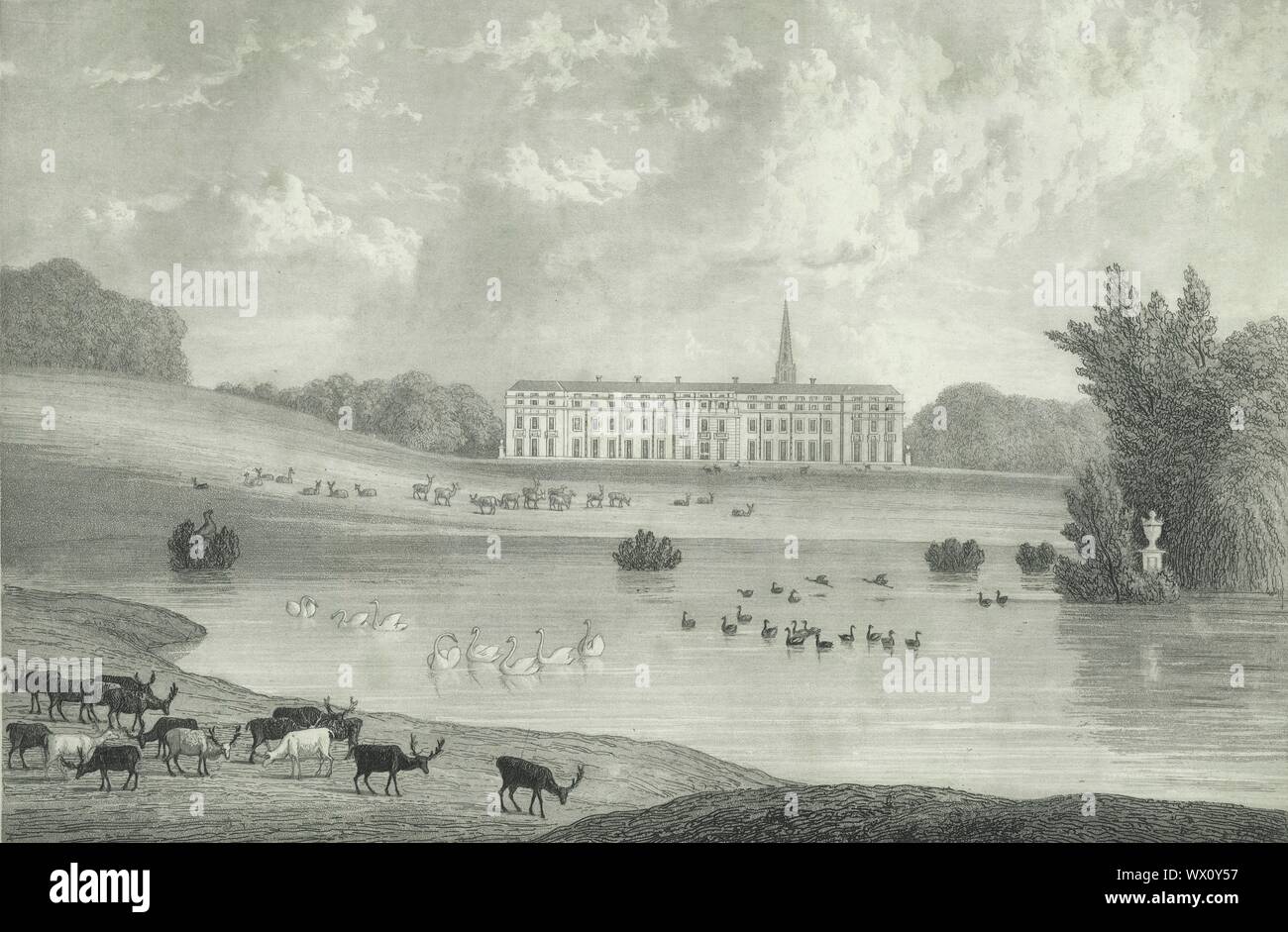 'Petworth Park', 1835. Grade I listed country house, rebuilt in 1688 by Charles Seymour and known for an art collection made by George Wyndham. Petworth Park, has the largest herd of fallow deer in England and was landscaped by Capability Brown. Steel engraving by William Westall after Thomas Henwood. From &quot;The History, Antiquities, and Topography of the County of Sussex, Volume the Second&quot;, by Thomas Walker Horsfield, F.S.A. [Baxter, Sussex Press, Lewes; Messrs. Nichols and Son, London, (1835)] Stock Photo