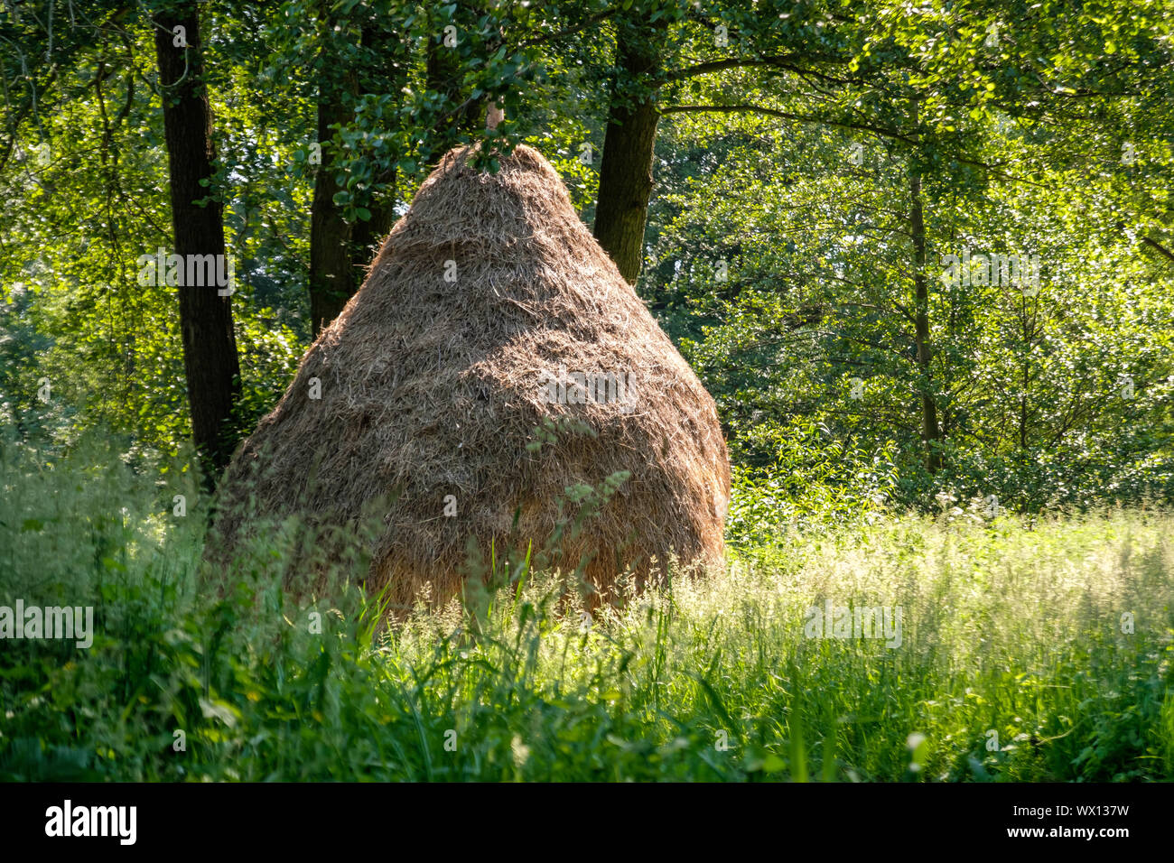 Spreewald biosphere reserve holiday region traditional haystacks Stock Photo