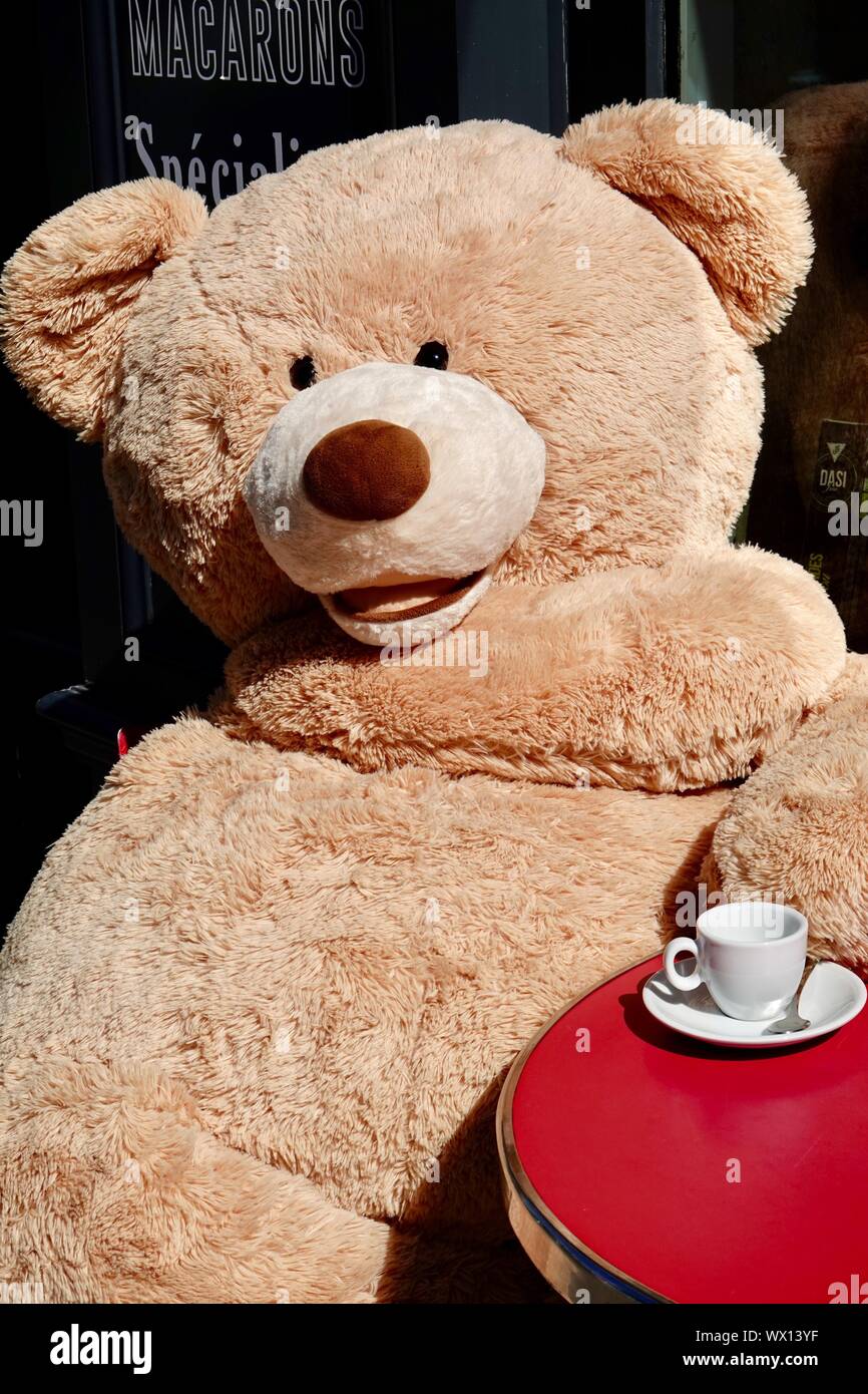 https://c8.alamy.com/comp/WX13YF/teddy-bear-having-tea-outside-a-shop-in-paris-france-WX13YF.jpg
