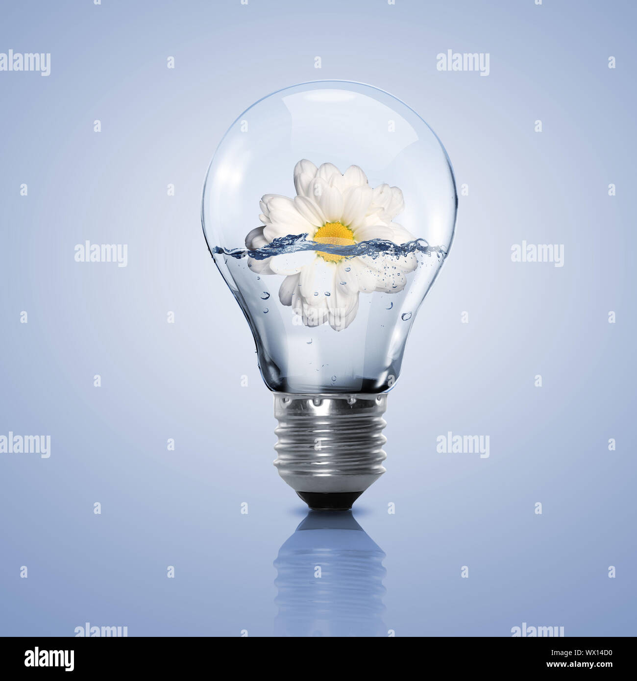 7515 hi-res stock photography and images - Alamy