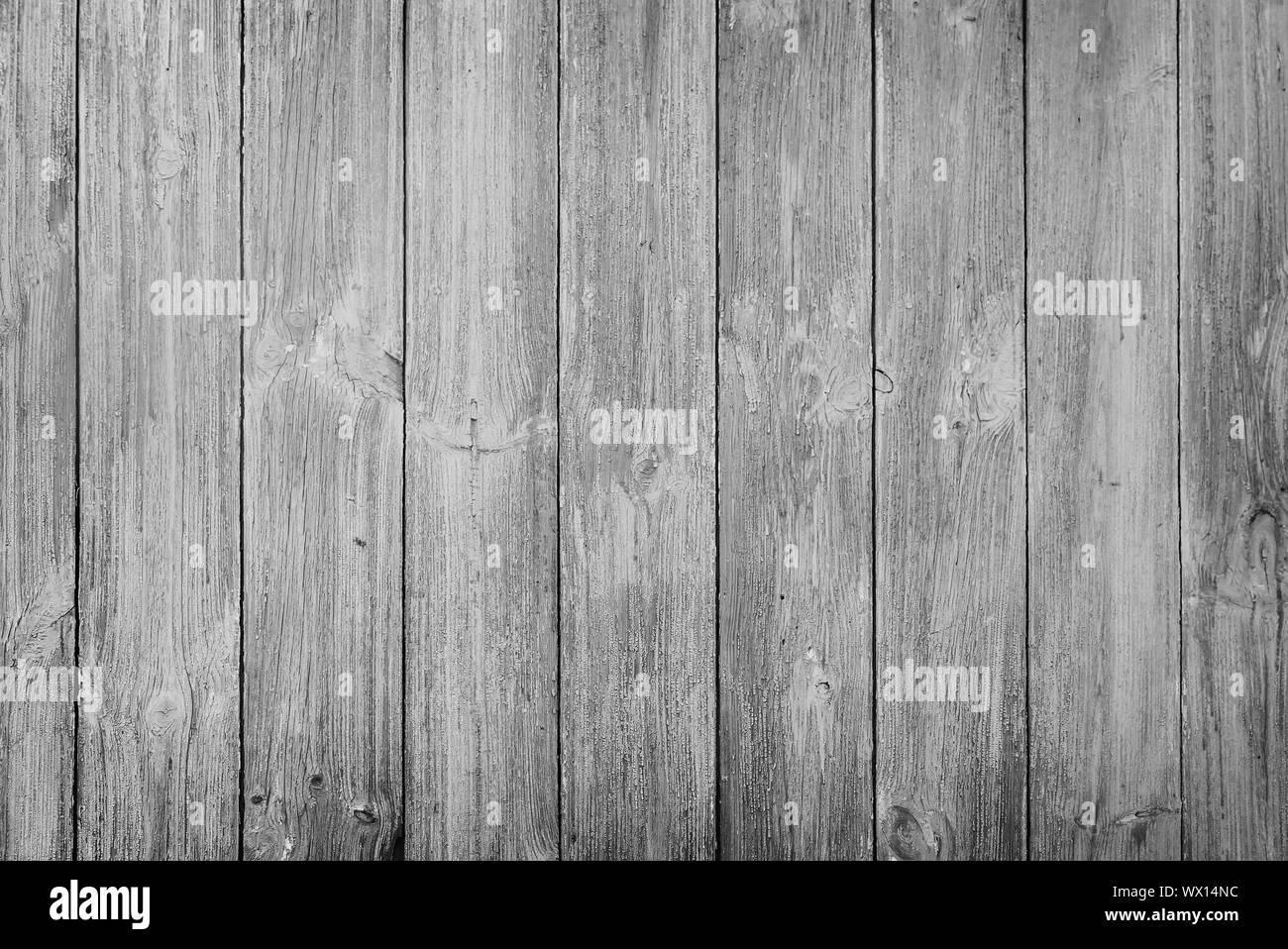 Background image: wood texture. Stock Photo