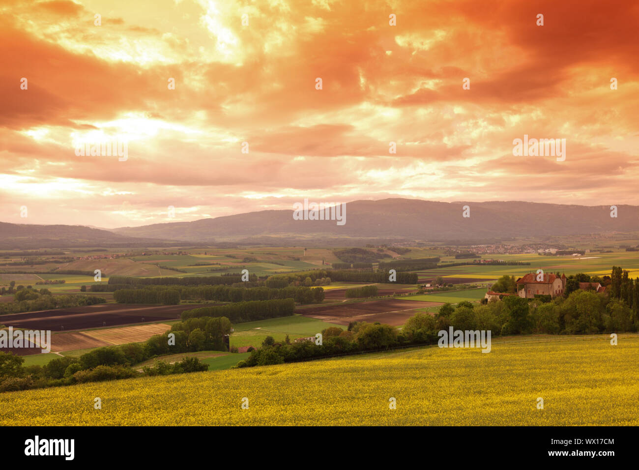 Green meadow under sunset sky with clouds Stock Photo - Alamy