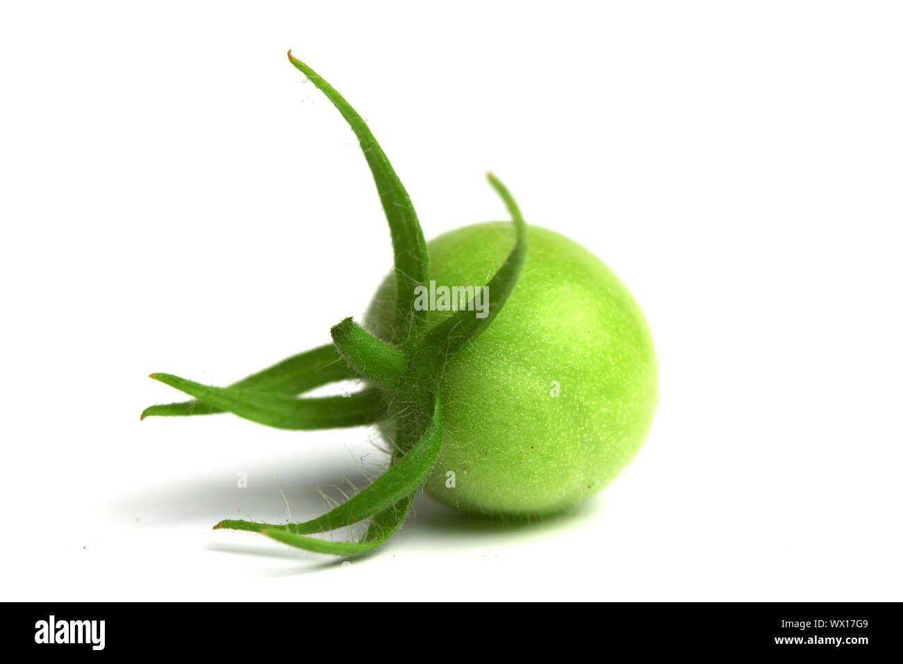 green tomato isolated on white Stock Photo - Alamy