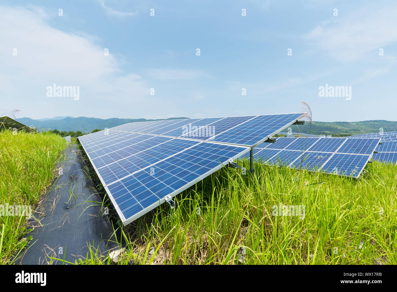 solar panels on hillside Stock Photo