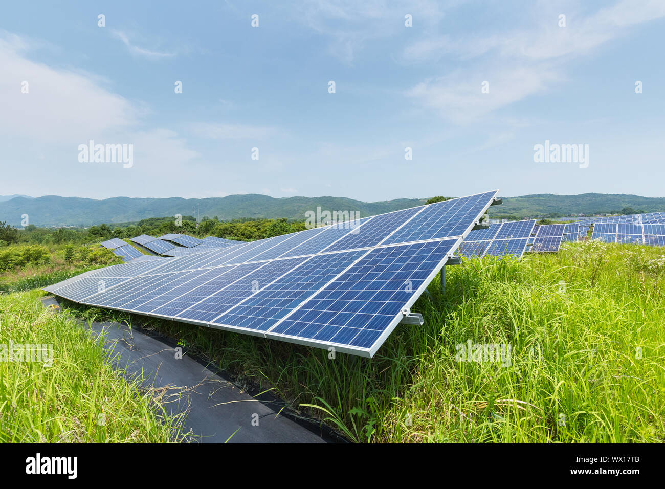 solar panels on hillside Stock Photo