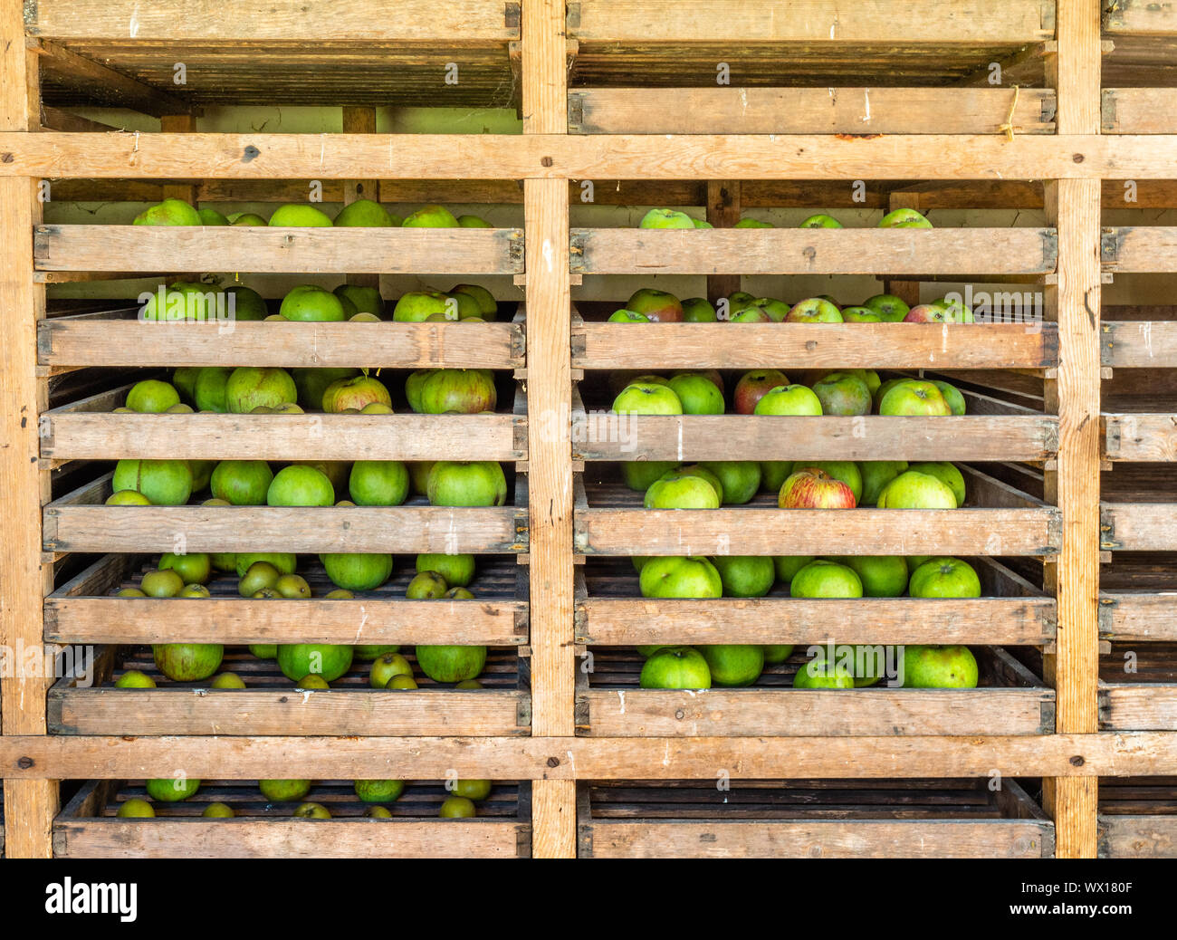 Apples in storage trays hires stock photography and images Alamy