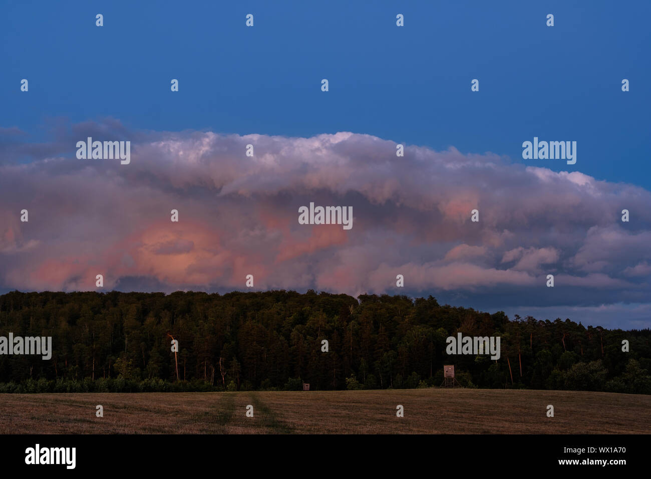 Harz landscape in the evening light Stock Photo