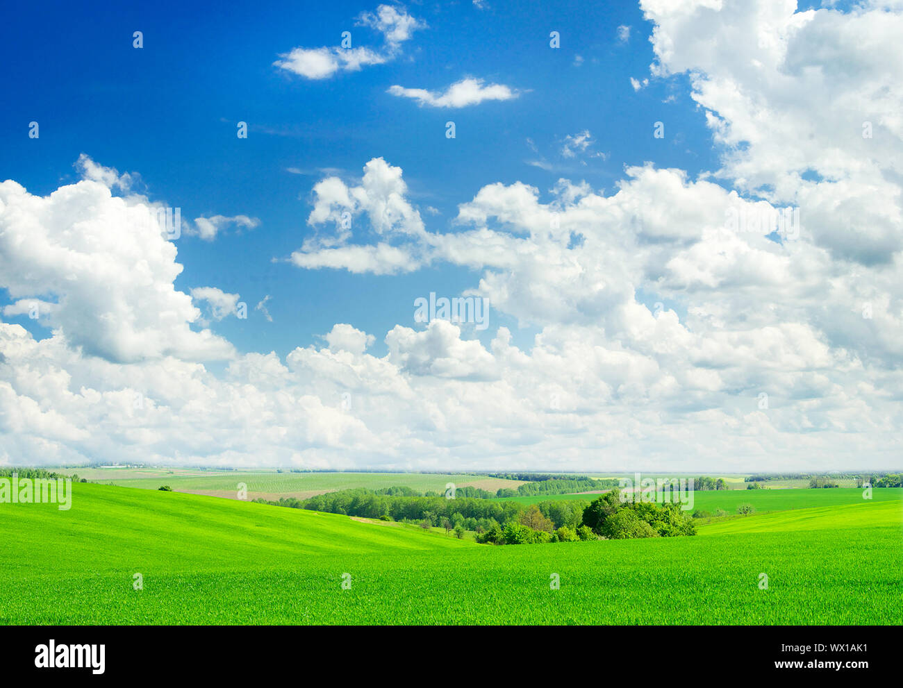 green field and blue sky Stock Photo - Alamy